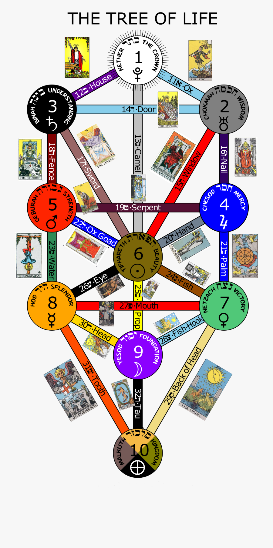 Tarot And Tree Of Life, Transparent Clipart