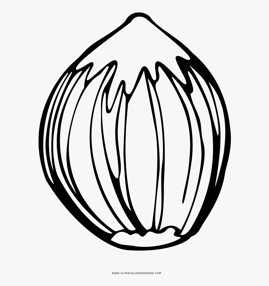 Nut Coloring Page - Nut Coloring Pages, Transparent Clipart