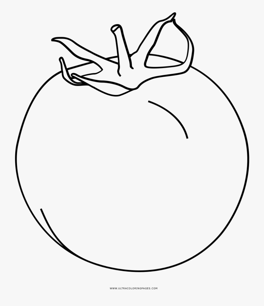 Tomato Coloring Page - Line Art, Transparent Clipart