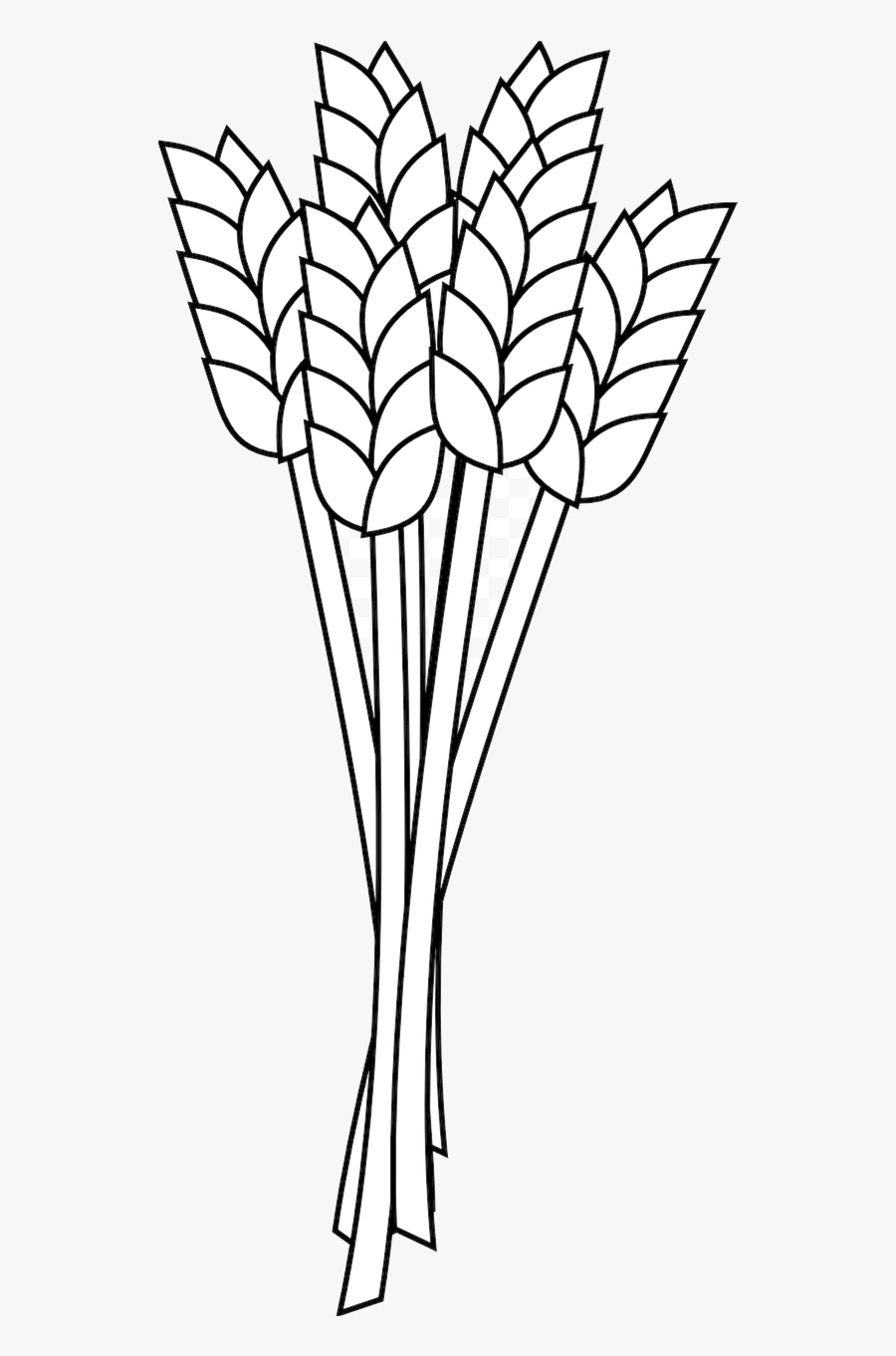 Wheat Freeuse Stock Flour Coloring Book Clipart Outline - Grains Clipart Black And White, Transparent Clipart