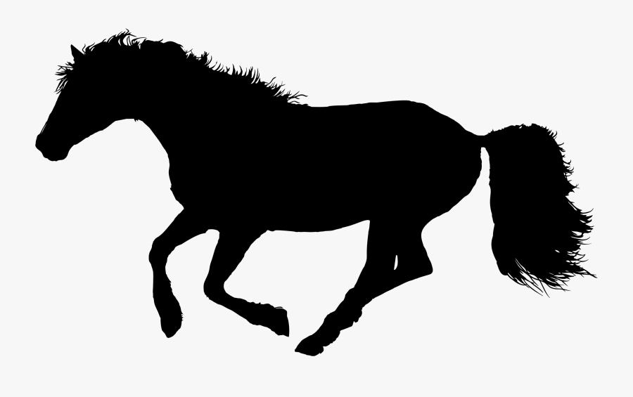 English Riding,pony,livestock - Galloping Unicorn, Transparent Clipart