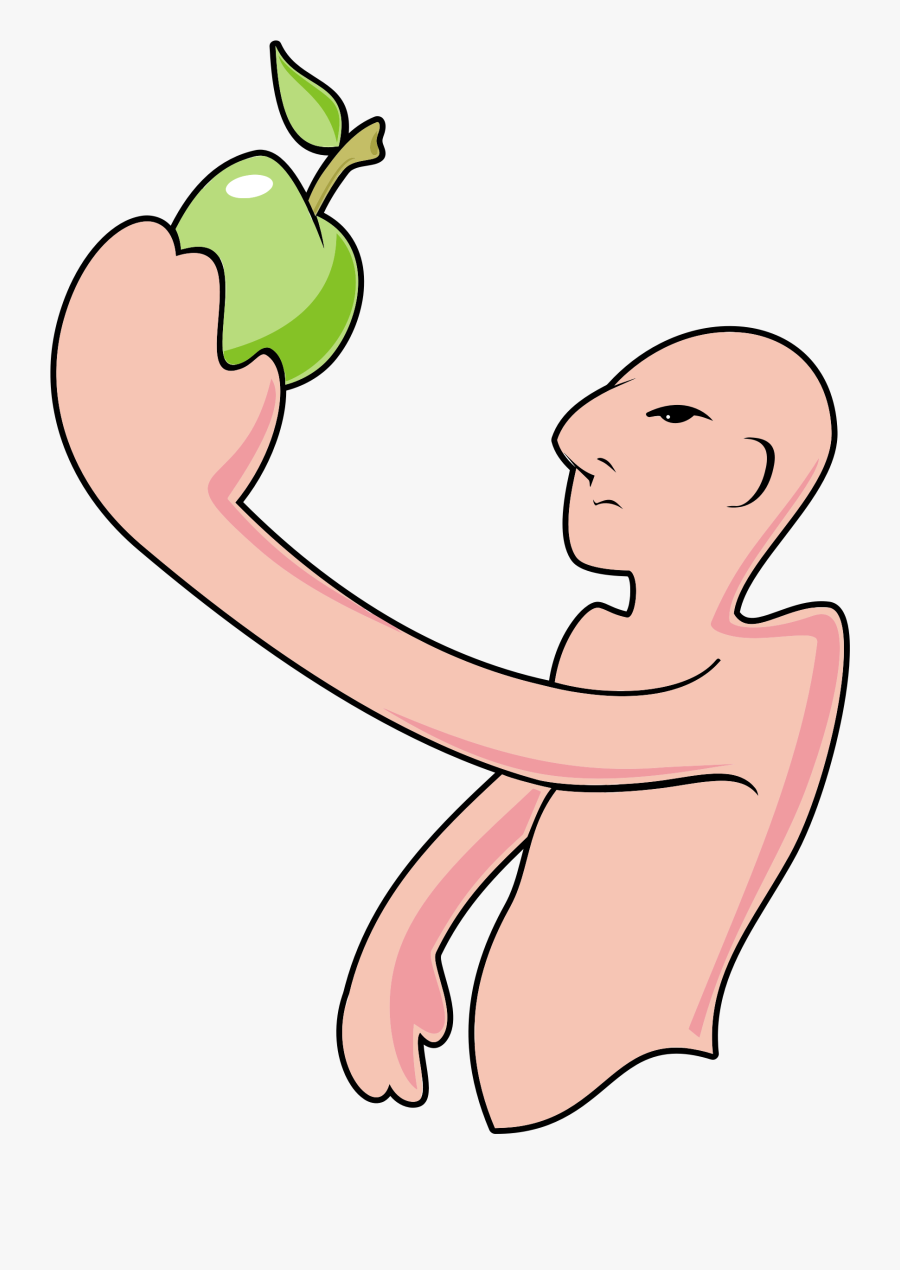 Bald Man And The Apple Clip Arts, Transparent Clipart