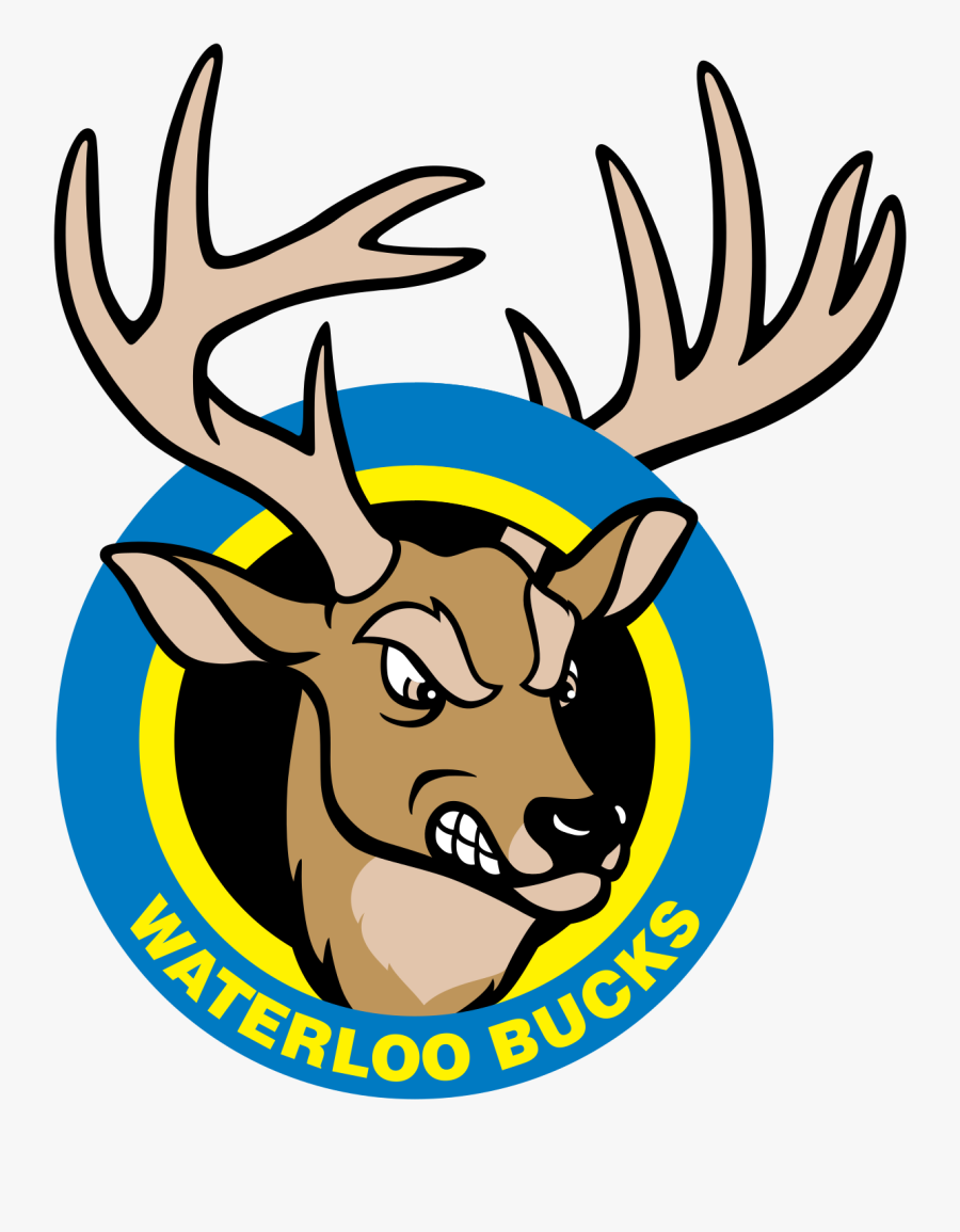 Waterloo Bucks Logo, Transparent Clipart