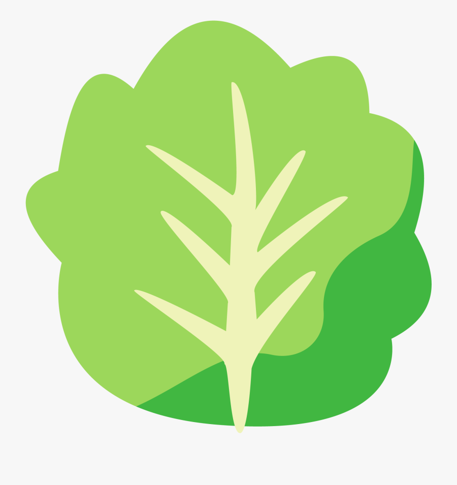 Lettuce-icon - Illustration, Transparent Clipart