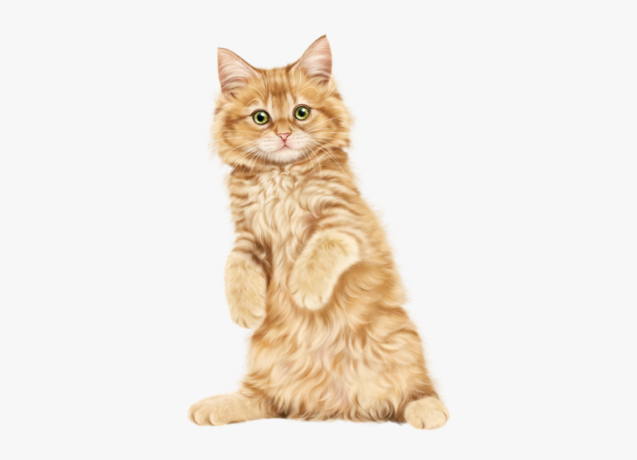 Picture Free Download Gato Katze Katter - Ragdoll Russian Blue Persian Cat, Transparent Clipart