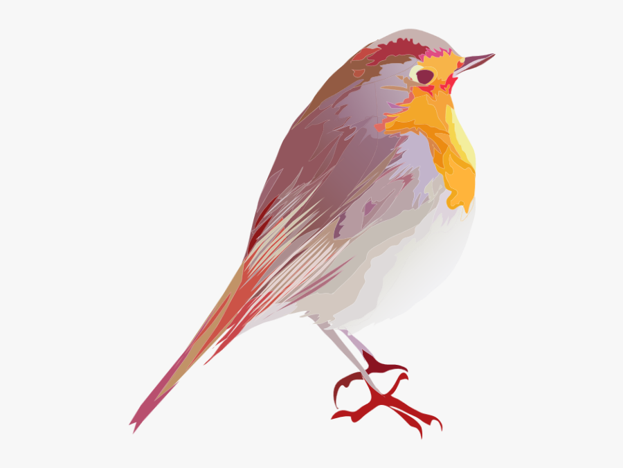 Robin Clipart Spring Robin - Birds Png Sticker, Transparent Clipart