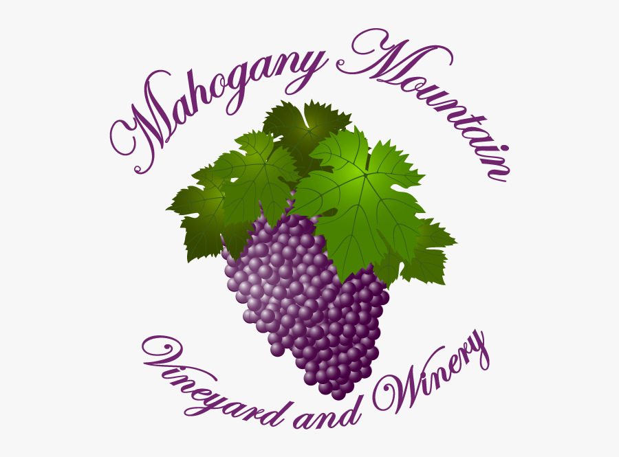 Mahogany Mountain Vineyard And Winery - Mahogany Mountain Vineyard, Transparent Clipart
