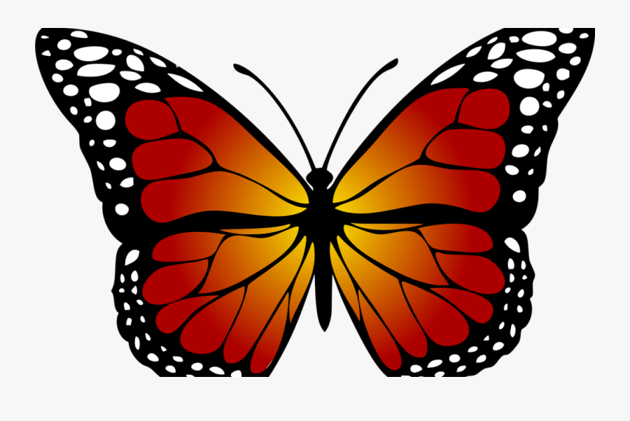 Metamorphosis And Transformation - Butterfly Red And Yellow, Transparent Clipart