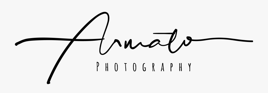 Armato Photography, Headshot, Family And Wedding Photography - Calligraphy, Transparent Clipart