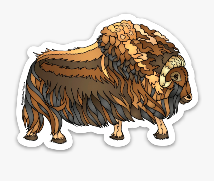 Muskox, Transparent Clipart