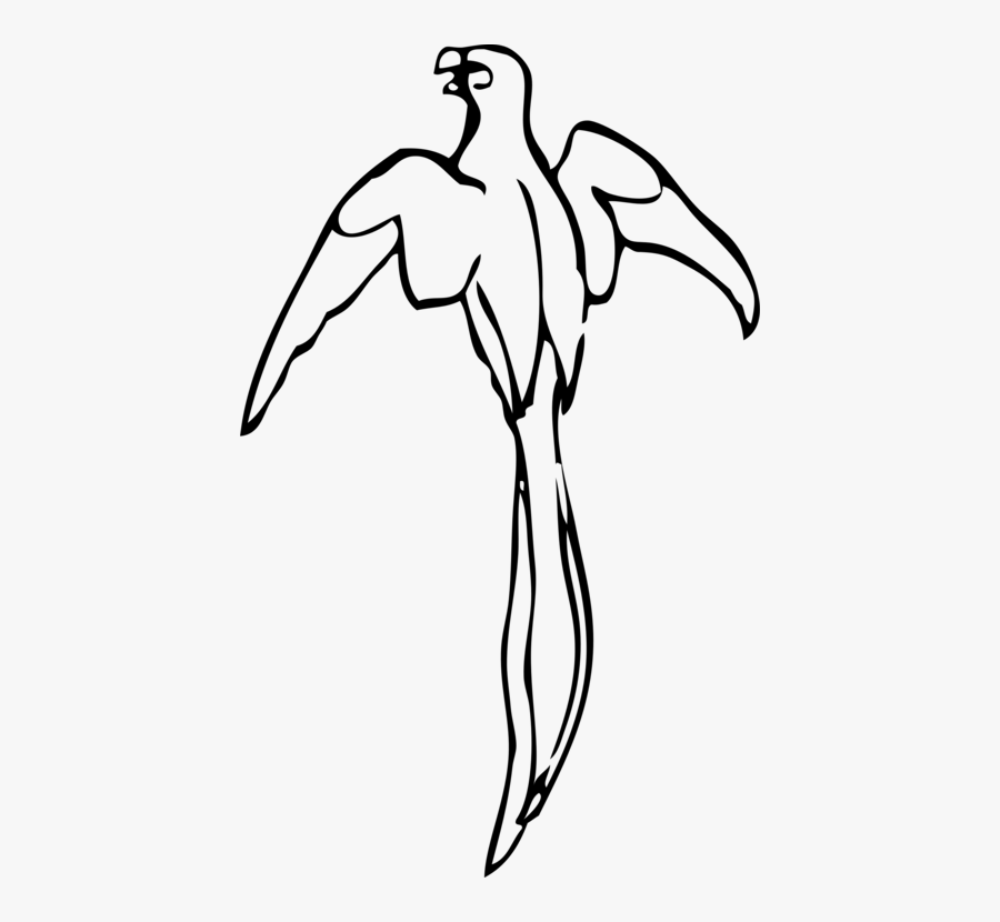 Art,monochrome Photography,artwork - Outline Of A Parrot, Transparent Clipart