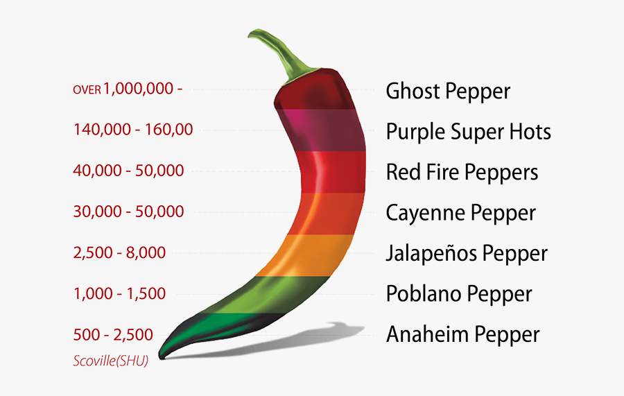 Peppers Clipart Jalapeno Popper - Restaurant Flyers , Free Transparent ...