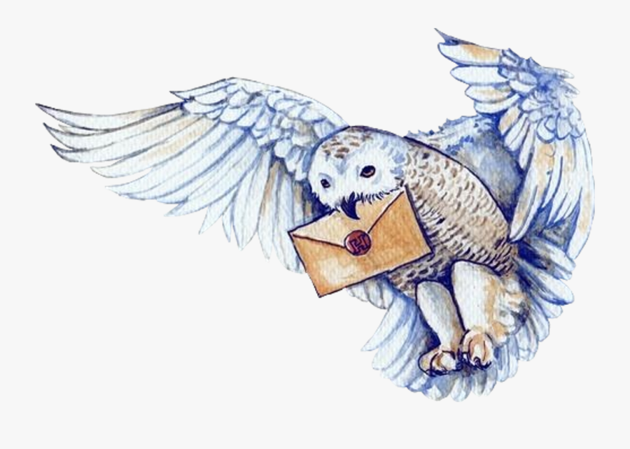 Knightbus Harrypotter Hedwig Hogwartsletter Harry Potter Hedwig