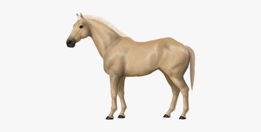 Transparent Horses Thoroughbred - 2nd Most Beautiful Horse, Transparent Clipart