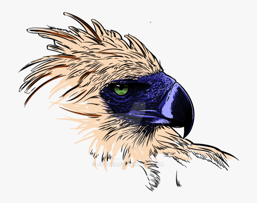 Phillipine Eagle Clipart Vector - Philippine Eagle Transparent Background, Transparent Clipart
