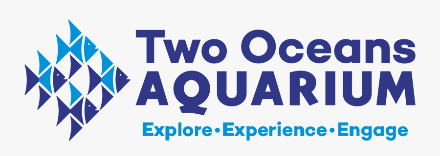 Transparent Aquarium Clipart - Two Oceans Aquarium, Transparent Clipart