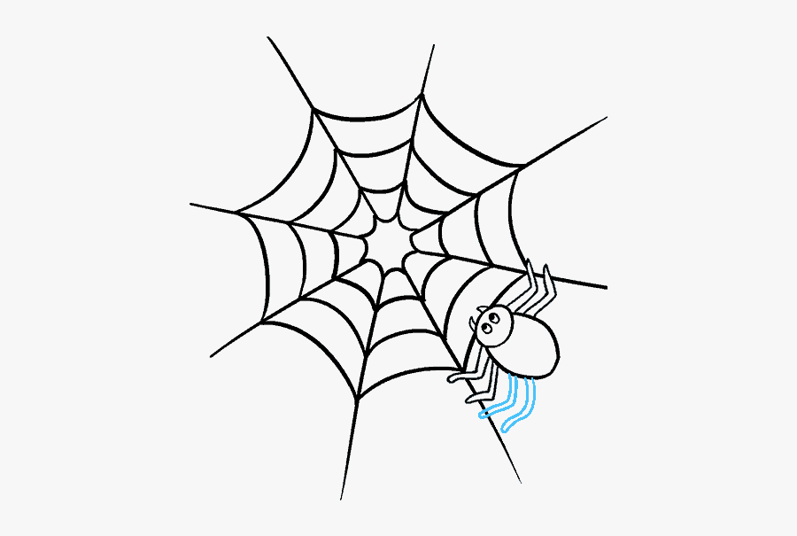 Drawing Creatures Spider - Colouring Pages Of Web, Transparent Clipart