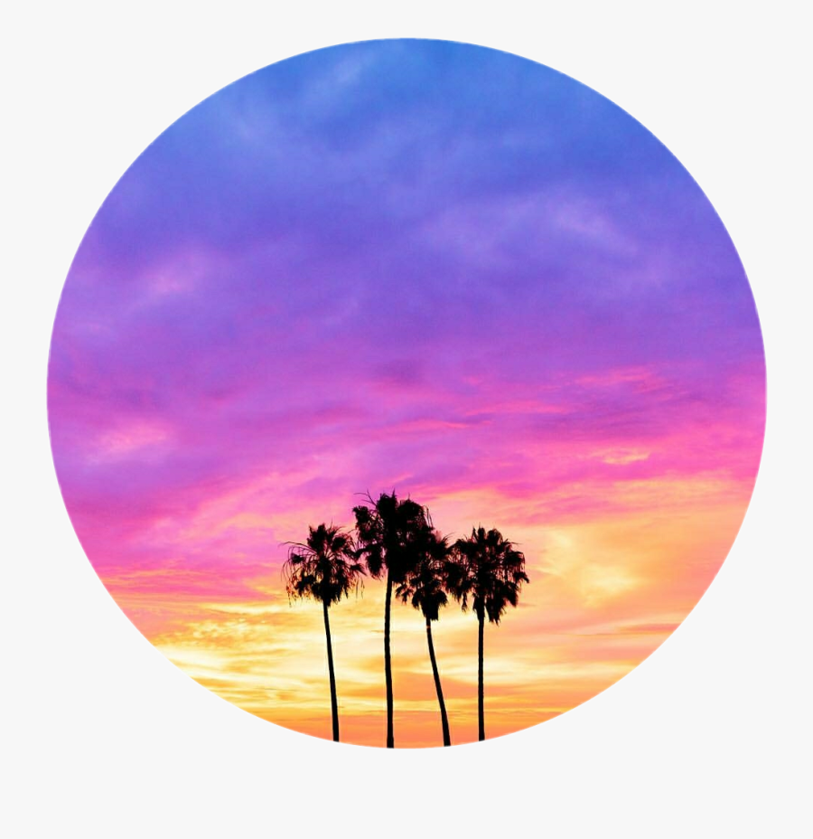 #trees #palmtrees #sunset #pinksky #sky #bluesky #yellowsky - Borassus Flabellifer, Transparent Clipart