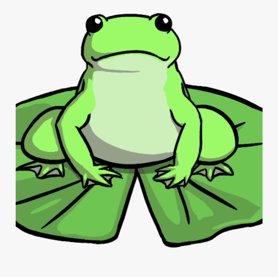 Transparent Frog School Clipart - Frog On A Lily Pad Drawing, Transparent Clipart