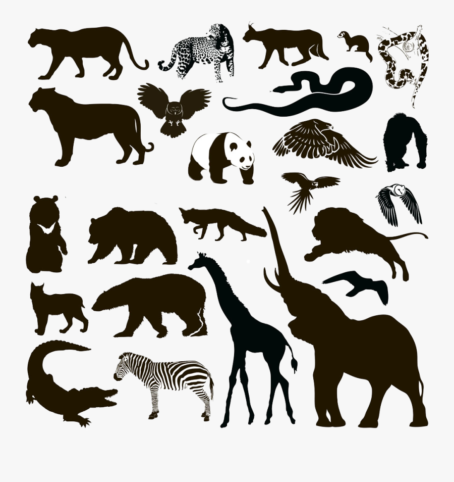 Silhouette Animal Wildlife - Wild Animal Silhouettes Free, Transparent Clipart