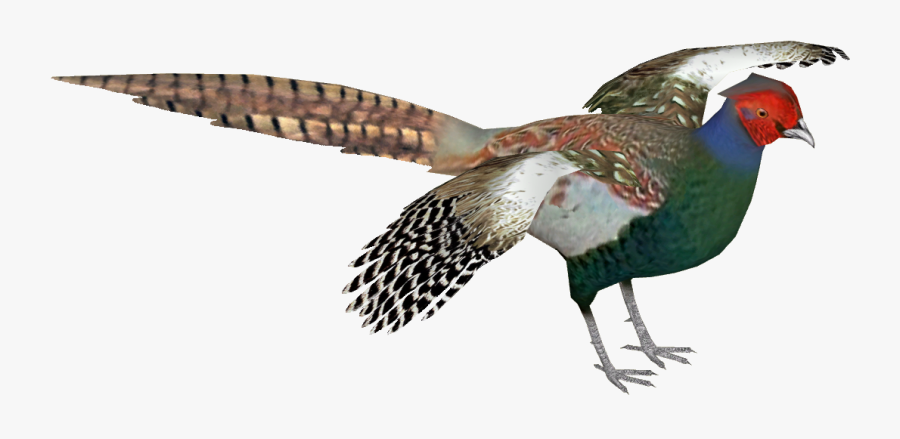 Green Pheasant Bird Png, Transparent Clipart