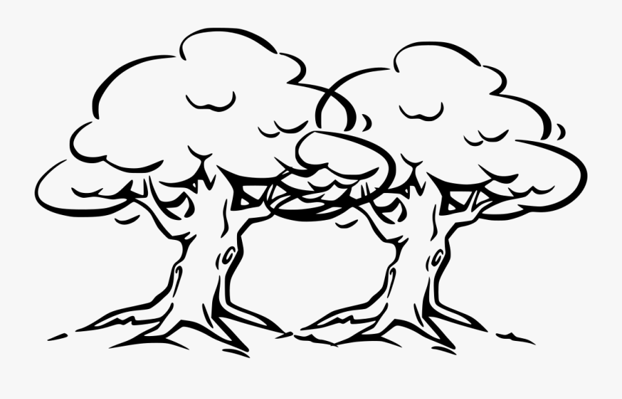 Easy Oak Tree Drawing, Transparent Clipart