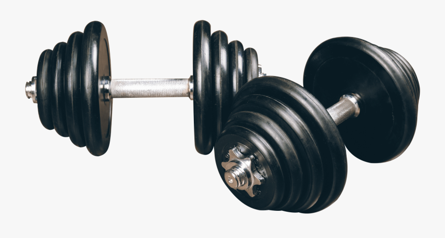 Dumbbell Weight Training Bodybuilding - Weight Training, Transparent Clipart