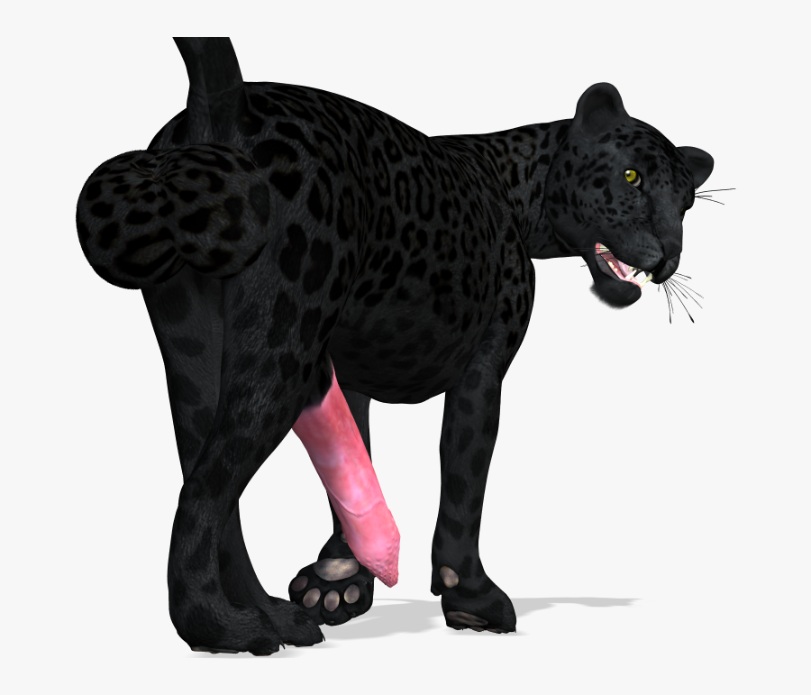 Panther Cat Computer Icons - Animal Black Panther Icon, Transparent Clipart