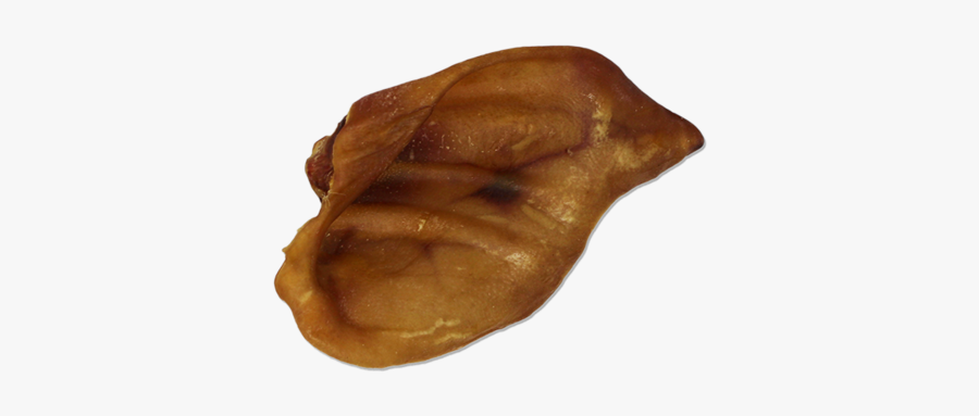 Pigs Ears"
 Class="lazyload Blur Up"
 Style="width - Nut, Transparent Clipart