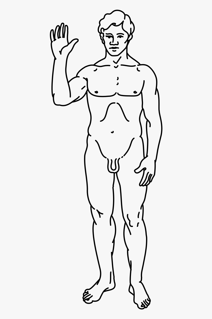 Filepioneer Plaque Line Drawing Of A Human Male - Draw A Homo Sapiens, Transparent Clipart