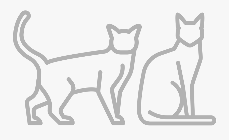 Cat, Transparent Clipart