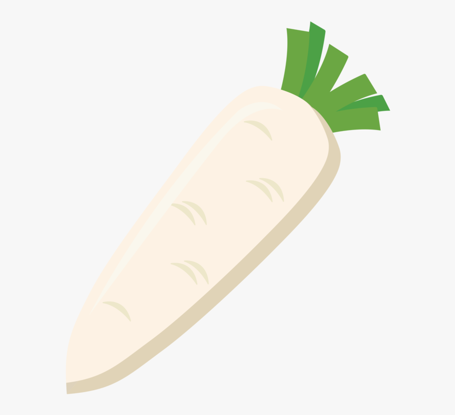 Plant,vegetarian Food,food - Daikon, Transparent Clipart