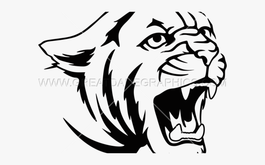 Cougar Face Cliparts - Drawing Of A Cougar, Transparent Clipart