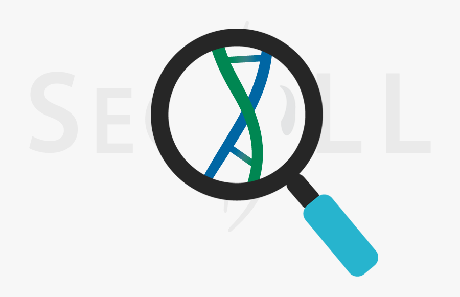 Seqll Dna Rna Sequencing Au2l, Transparent Clipart