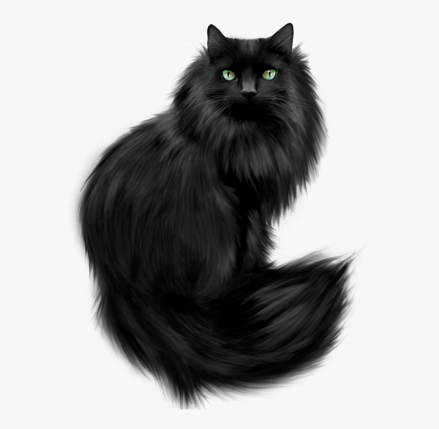 Black Himalayan Persian Cat, Transparent Clipart