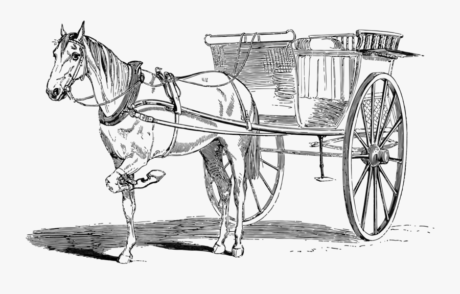 Wagon,horse,chariot - Cart, Transparent Clipart
