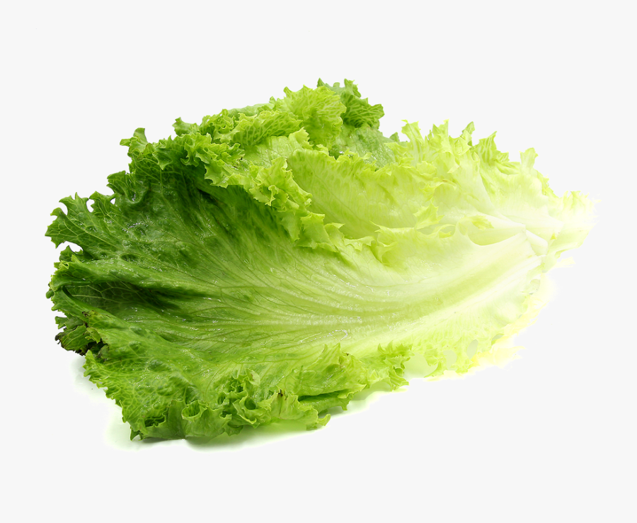 Clip Art Lettuce Png - Lettuce Transparent Background, Transparent Clipart