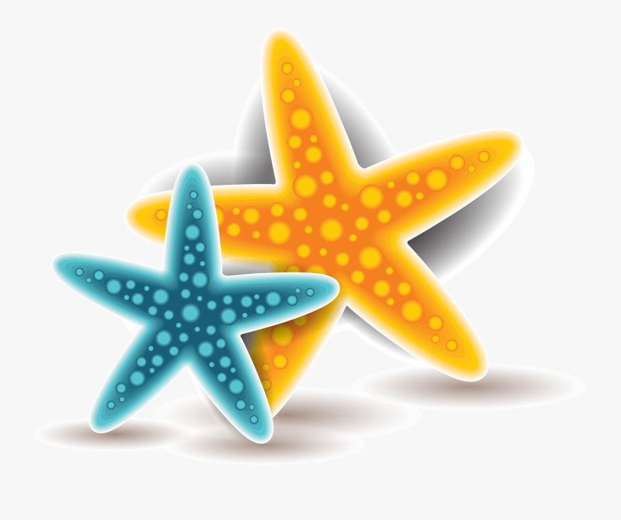 Starfish Euclidean Vector - Portable Network Graphics, Transparent Clipart