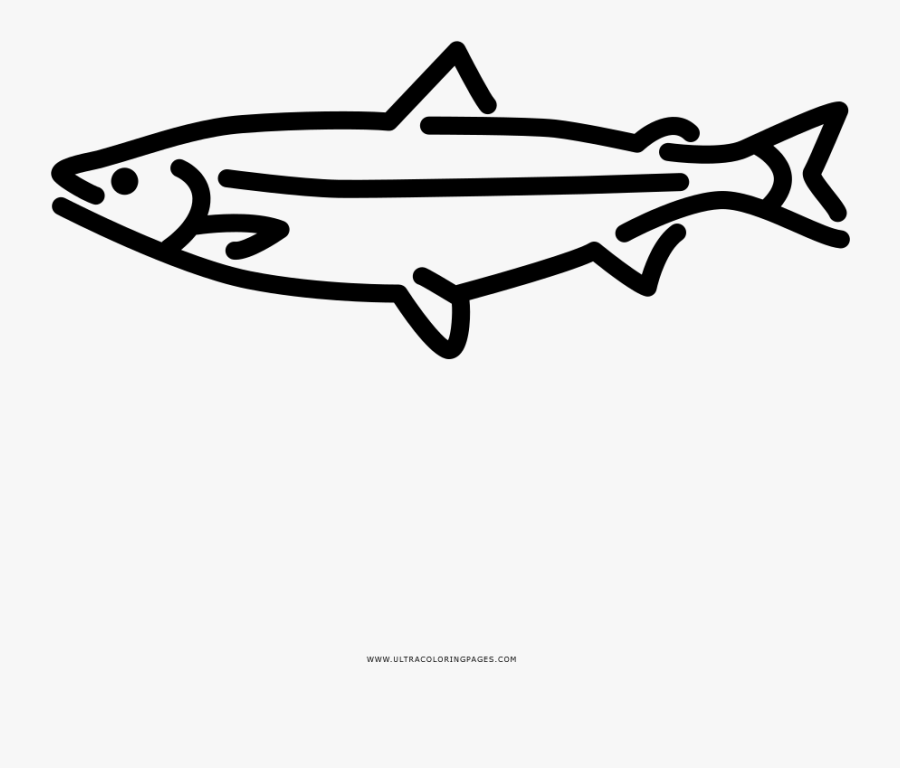 White Salmon Coloring Page - Line Art, Transparent Clipart