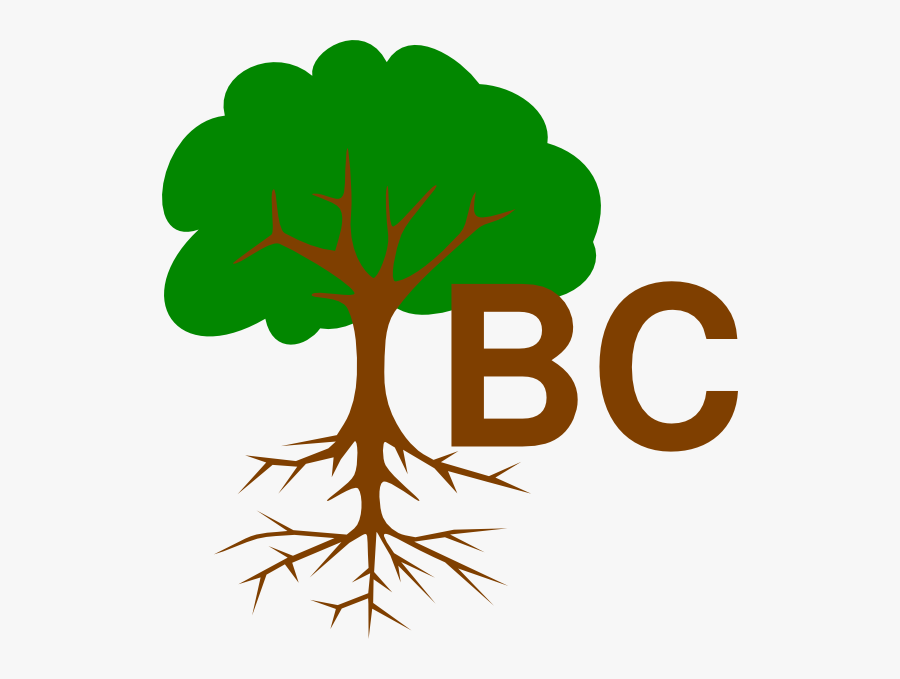 Name Of Tree Part, Transparent Clipart