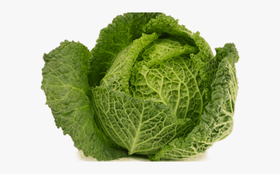 Cabbage Png Transparent Images Big Cabbage Transparent - Large Cabbage Png, Transparent Clipart