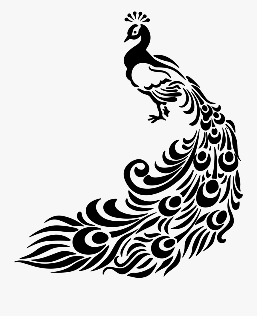 Drawing Line Art Peafowl Clip Art - Black And White Peacock Art, Transparent Clipart