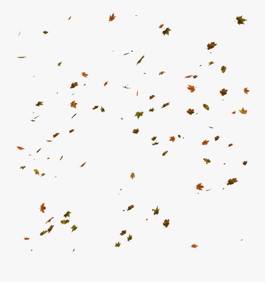 Transparent Leaves Falling - Fall Leaves Transparent Background, Transparent Clipart