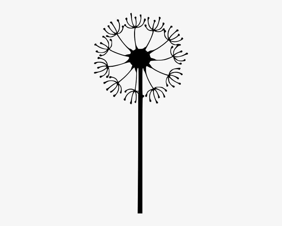 Free Image On Pixabay - Dandelion Colored Clipart Transparent Background, Transparent Clipart