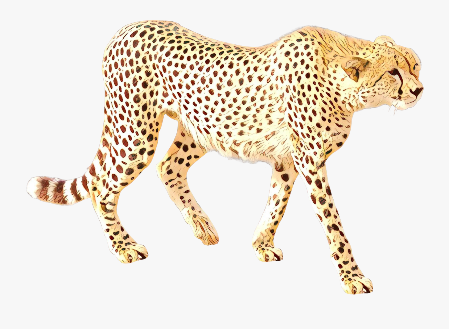 Cheetah Leopard Cat Jaguar Terrestrial Animal - Transparent Background Animal Transparent, Transparent Clipart