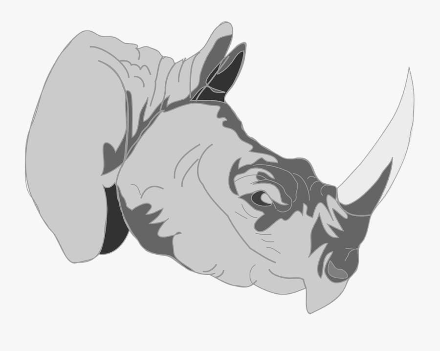 Rhino, Safari, Africa, African, Wildlife Horn, Ivory - One Horned Rhino Art, Transparent Clipart