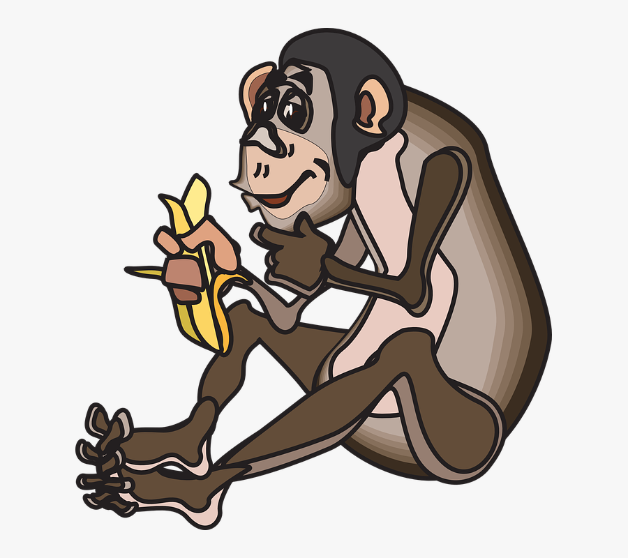 Food, Banana, Sitting, Eating, Animal, Chimp - Monkey Eating Banana Png, Transparent Clipart