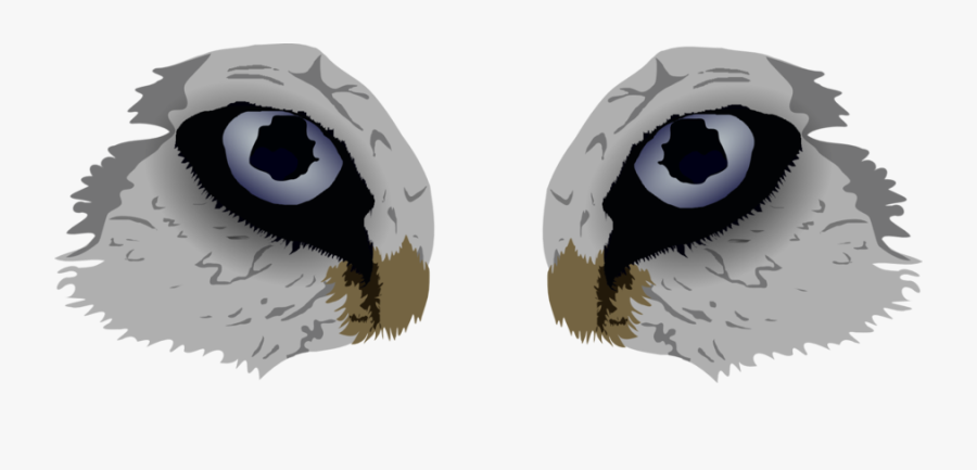 Fur Vector Eyes - Penguin, Transparent Clipart