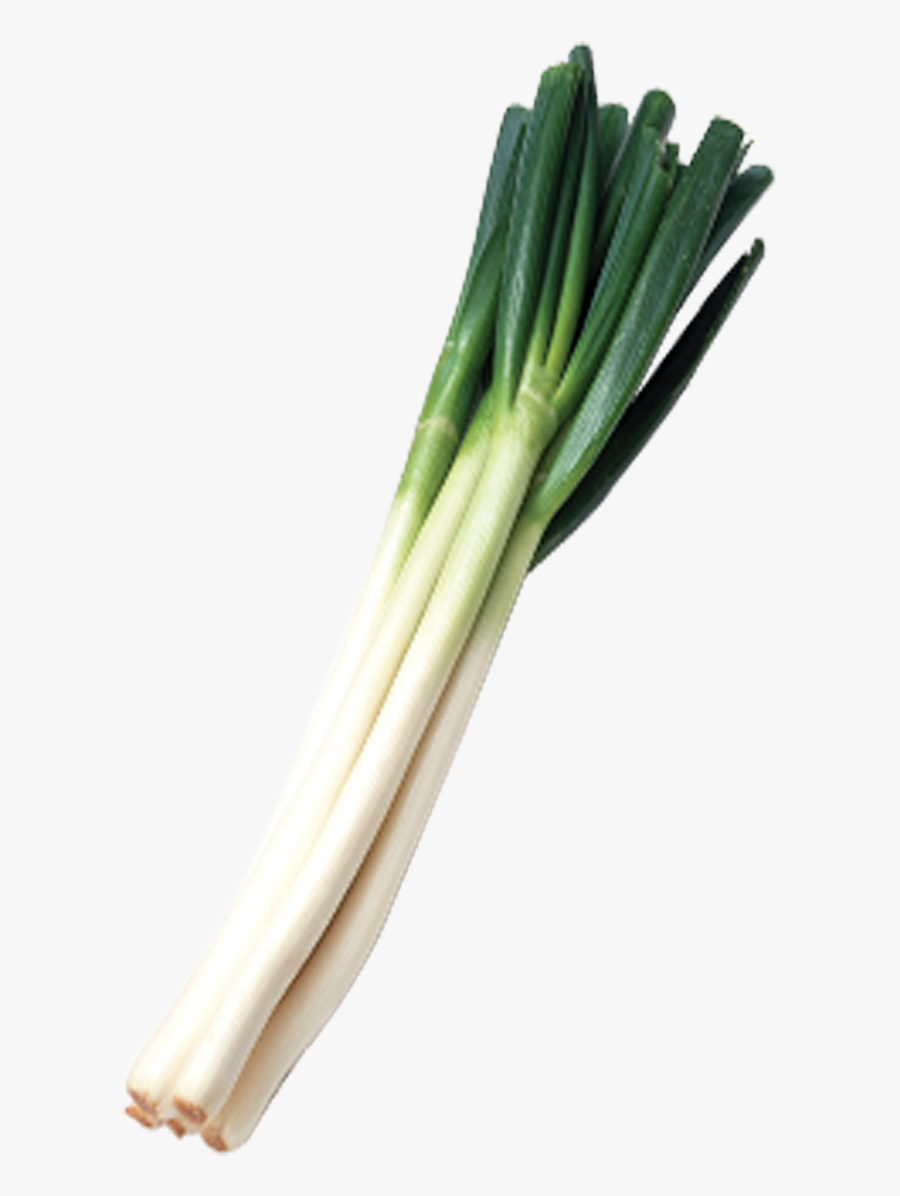 Clip Art Picture Of Green Onions - Green Onion Png, Transparent Clipart