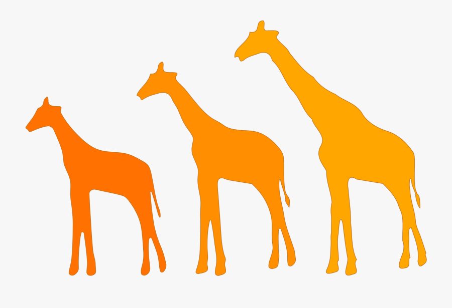 ¿a Qué Dos Hechos De La Historia De La Tierra Hacen - Evolution Clipart Animals, Transparent Clipart